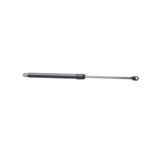 Tailgate Strut - RIDEX 219G0278