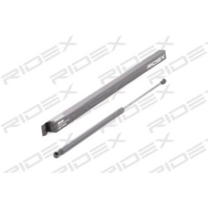 Tailgate Strut - RIDEX 219G0209