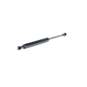 Tailgate Strut - RIDEX 219G0252