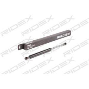 Tailgate Strut - RIDEX 219G0252