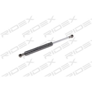 Tailgate Strut - RIDEX 219G0252