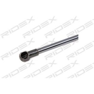 Tailgate Strut - RIDEX 219G0252
