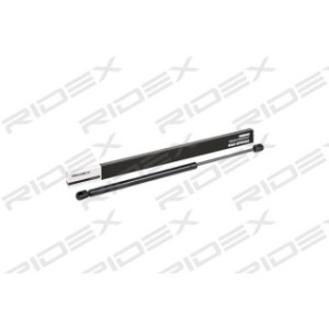 Tailgate Strut - RIDEX 219G0307