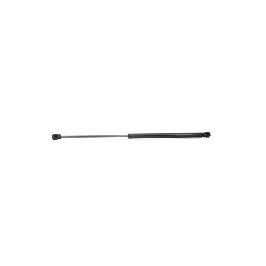 Tailgate Strut - RIDEX 219G0302