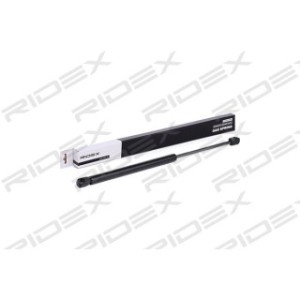 Tailgate Strut - RIDEX 219G0268