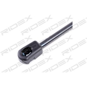 Tailgate Strut - RIDEX 219G0268