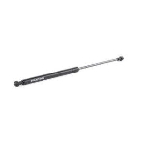 Tailgate Strut - RIDEX 219G0290