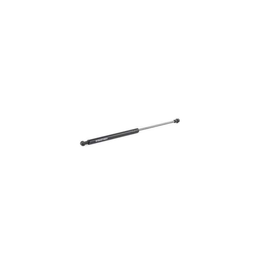 Tailgate Strut - RIDEX 219G0290