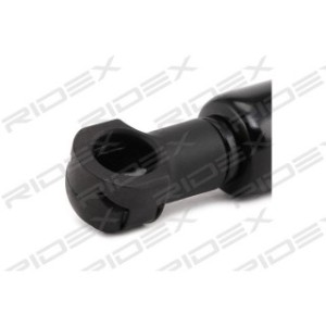 Tailgate Strut - RIDEX 219G0290