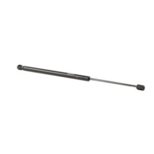 Tailgate Strut - RIDEX 219G0168
