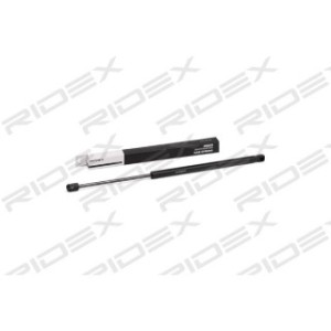 Tailgate Strut - RIDEX 219G0168