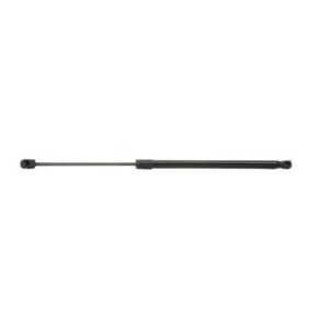 Tailgate Strut - RIDEX 219G0269