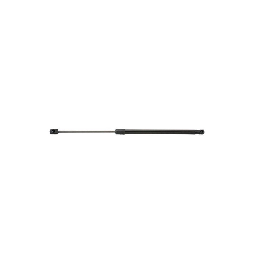 Tailgate Strut - RIDEX 219G0269