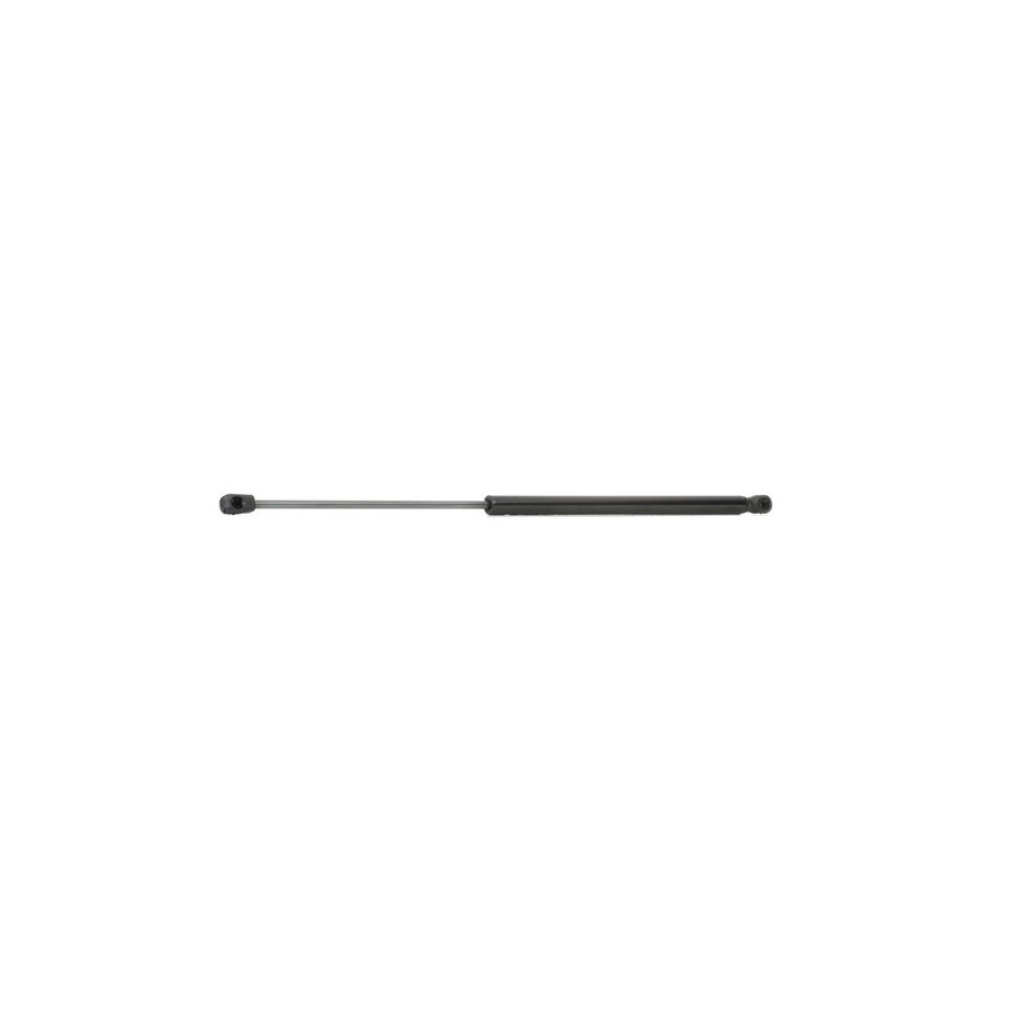 Tailgate Strut - RIDEX 219G0384