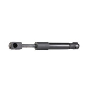 Tailgate Strut - RIDEX 219G0210