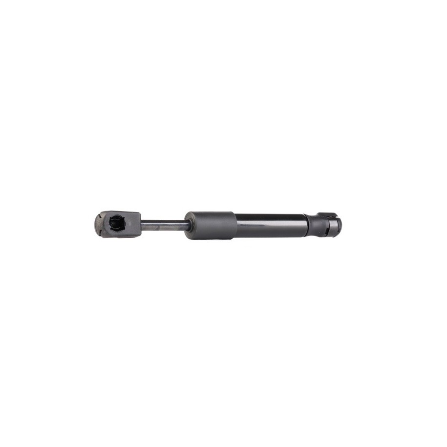 Tailgate Strut - RIDEX 219G0210