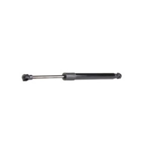 Tailgate Strut - RIDEX 219G0296