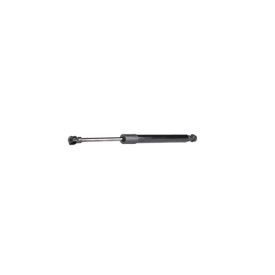 Tailgate Strut - RIDEX 219G0296
