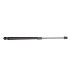 Tailgate Strut - RIDEX 219G0219