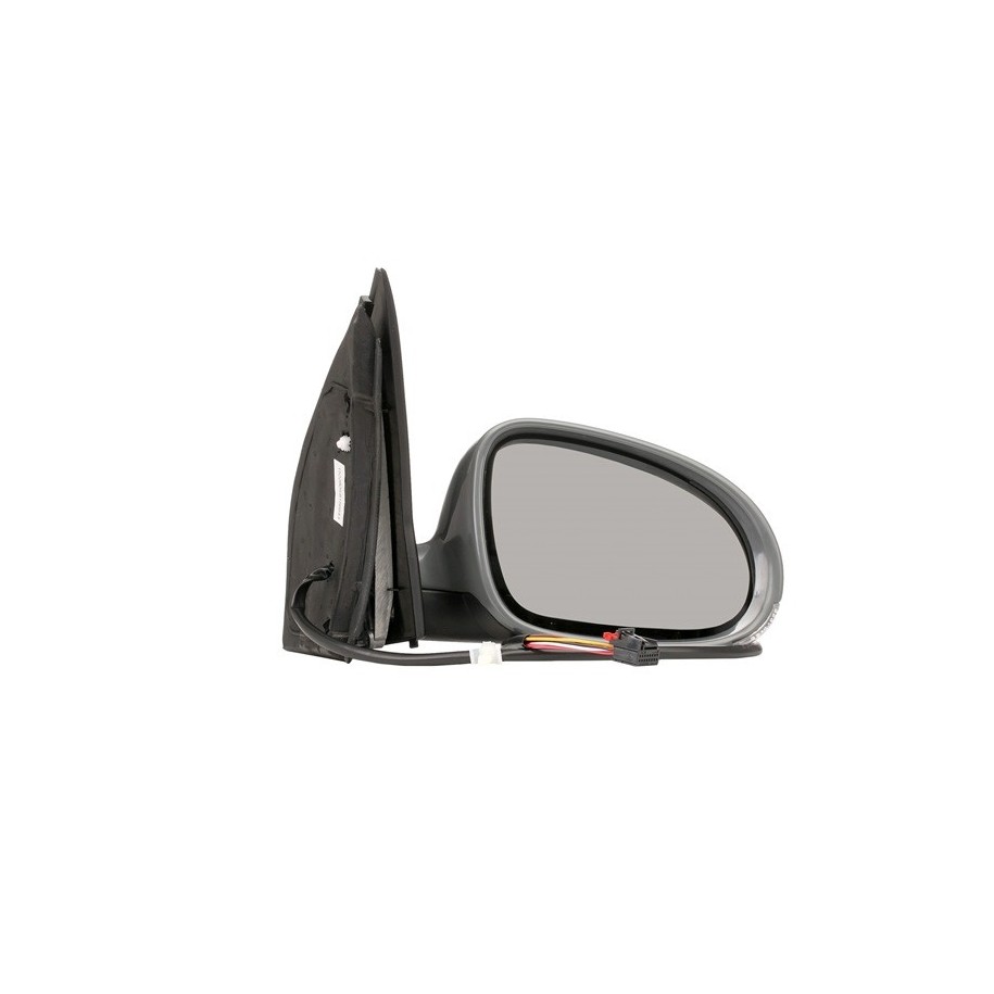 Exterior Mirror - RIDEX 50O0169