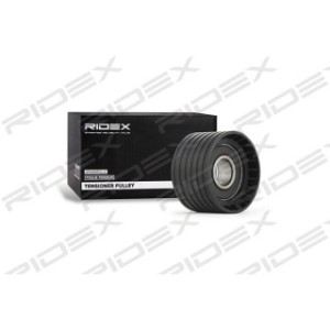 Timing Belt Deflection Guide Pulley - RIDEX 313D0082
