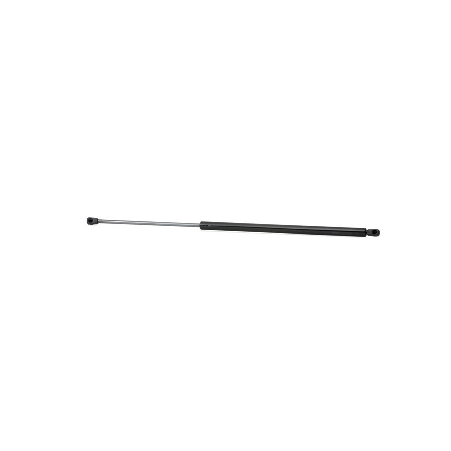 Tailgate Strut - RIDEX 219G0399