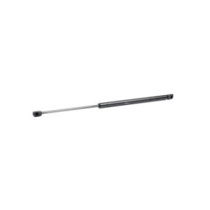 Rear Window Gas Spring - RIDEX 219G0401