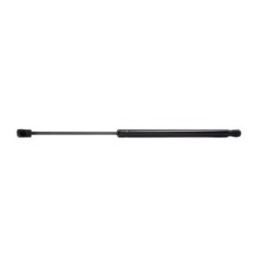 Tailgate Strut - RIDEX 219G0166
