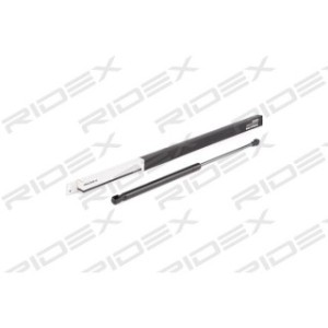 Tailgate Strut - RIDEX 219G0166