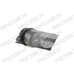 Engine Mounting - RIDEX 247E0013