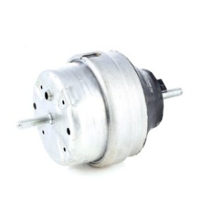 Engine Mounting - RIDEX 247E0113