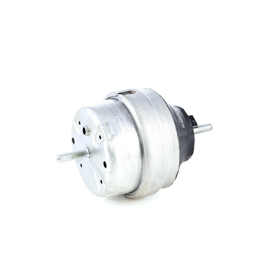 Engine Mounting - RIDEX 247E0113
