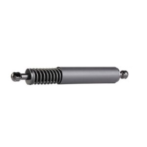 Tailgate Strut - RIDEX 219G0493