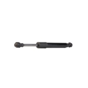 Tailgate Strut - RIDEX 219G0388