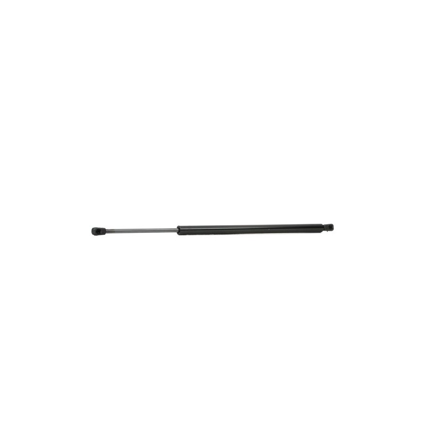 Tailgate Strut - RIDEX 219G0390
