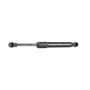 Tailgate Strut - RIDEX 219G0479
