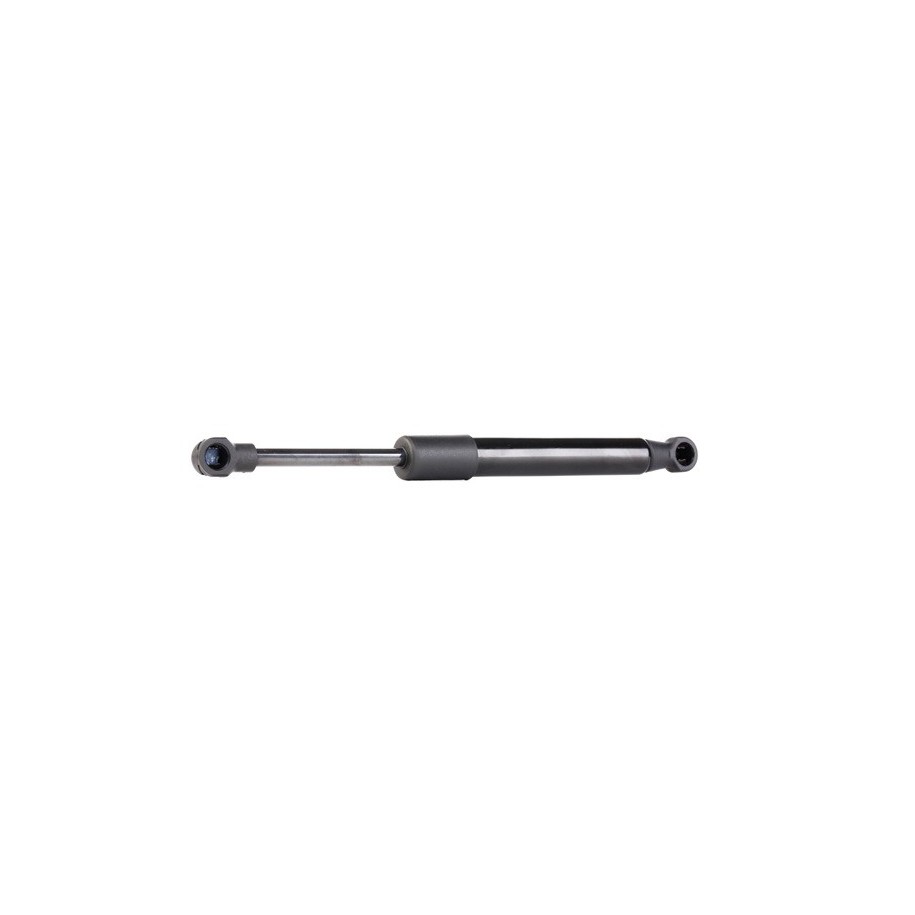 Tailgate Strut - RIDEX 219G0479
