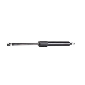 Tailgate Strut - RIDEX 219G0470