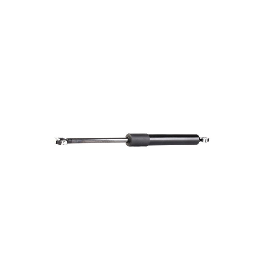Tailgate Strut - RIDEX 219G0470