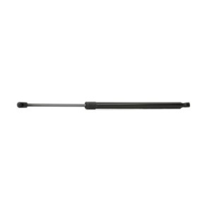 Tailgate Strut - RIDEX 219G0422