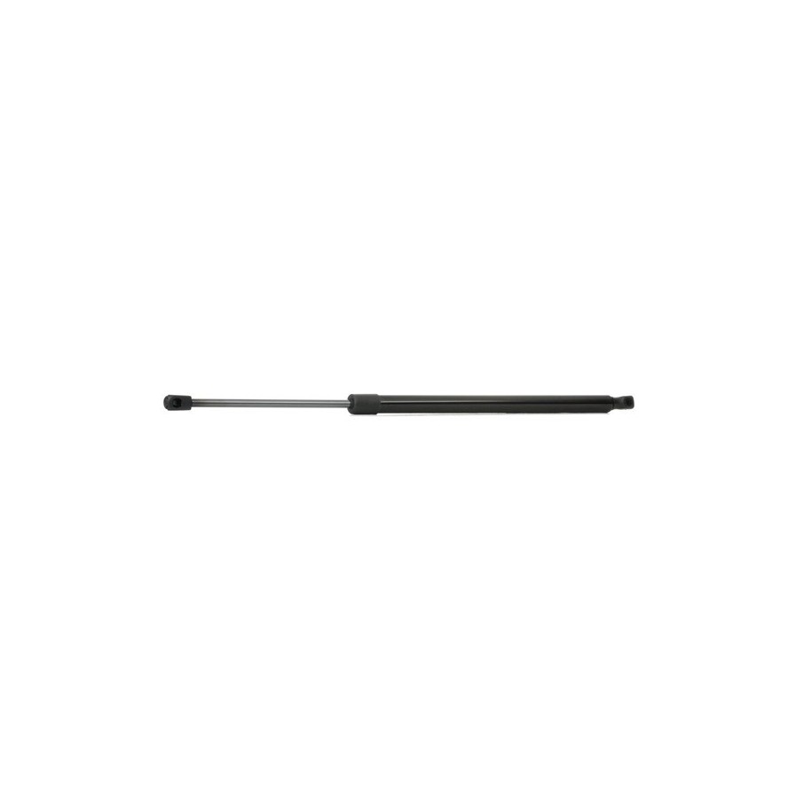 Tailgate Strut - RIDEX 219G0422