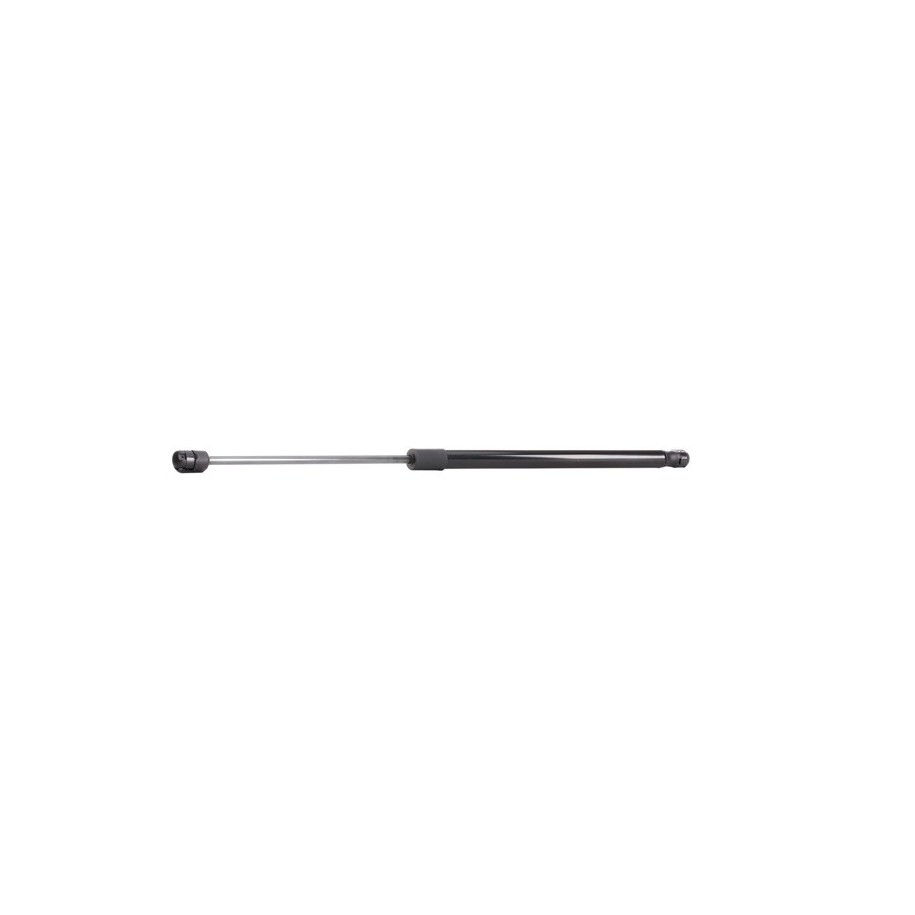 Tailgate Strut - RIDEX 219G0389