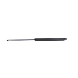 Tailgate Strut - RIDEX 219G0425