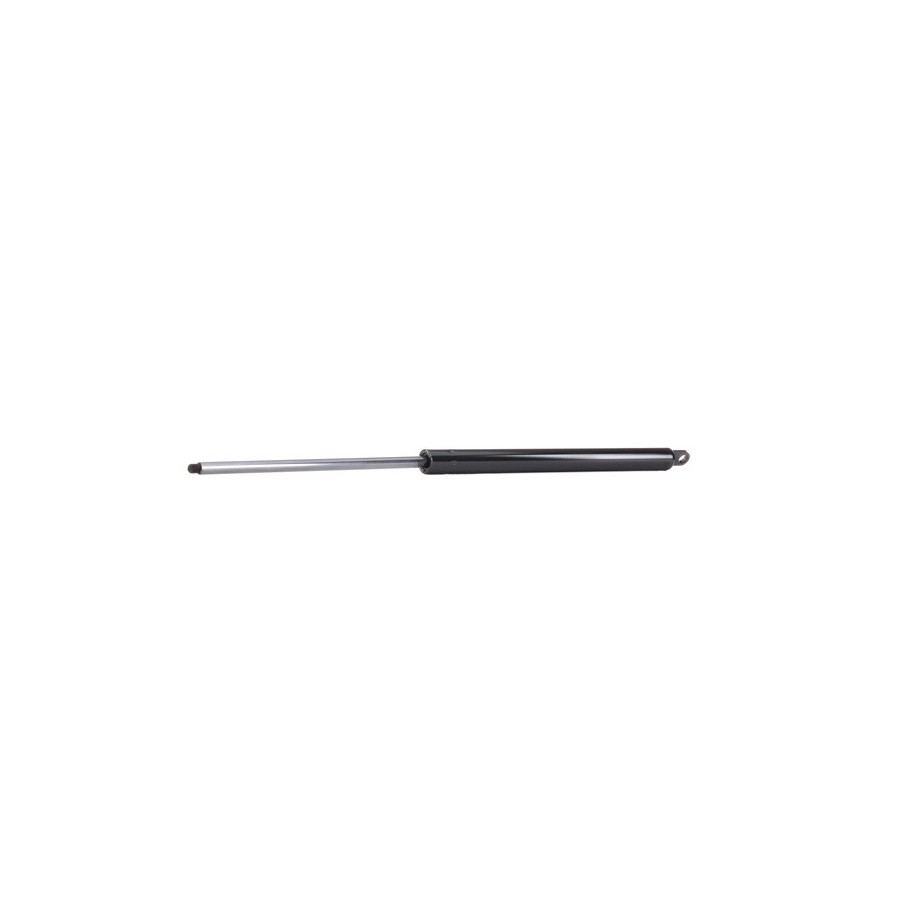 Tailgate Strut - RIDEX 219G0425