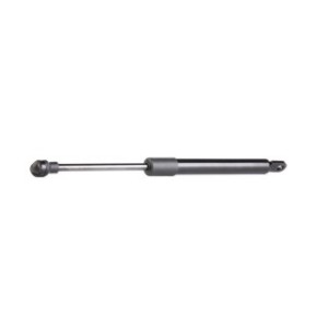 Tailgate Strut - RIDEX 219G0524