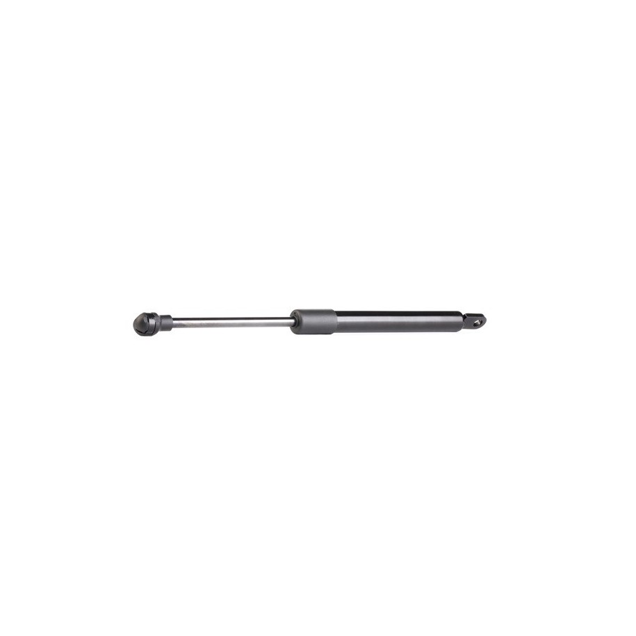 Tailgate Strut - RIDEX 219G0524