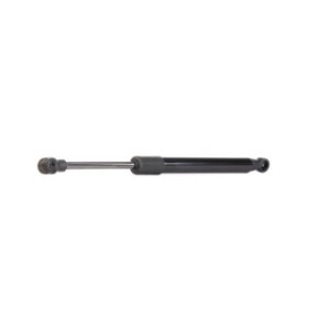 Tailgate Strut - RIDEX 219G0604