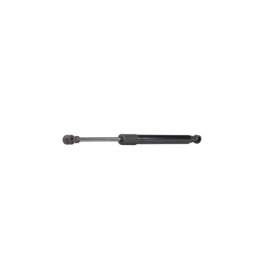 Tailgate Strut - RIDEX 219G0604