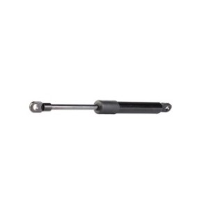 Bonnet Gas Spring - RIDEX 219G0497