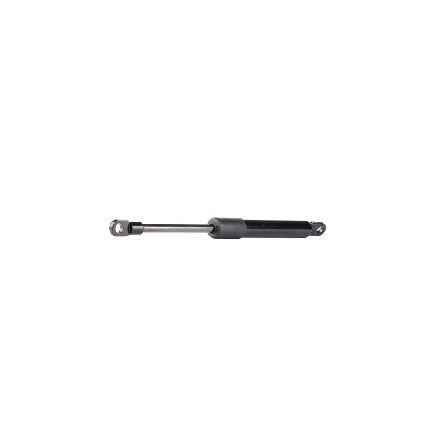 Bonnet Gas Spring - RIDEX 219G0497